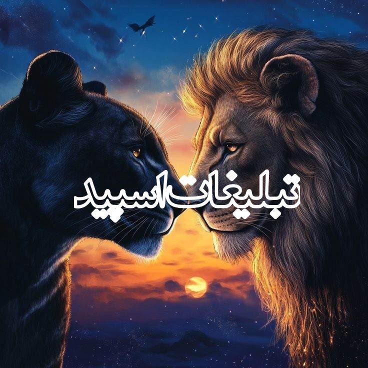 ○‌‌●‌|▸‌ پـاتـوق دلـهـا 60.70└‌‌‌‌‌‌❤️‌꙱‌‌‌‌ ‌‌‌‌‌‌‌‌❏‌‌‌‌‌‌‌‌‌‌‌▁‌▃‌