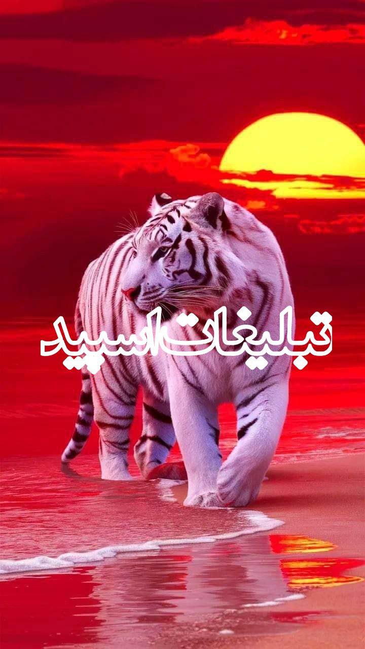 شیرازیای مهربون🥰 (1)