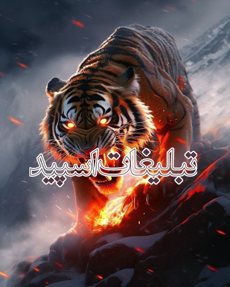 #لویال_فرندز (1)