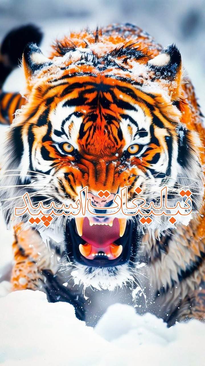 𖣫〚𝐁𝐄𝐒𝐓 𝐅𝐑𝐈𝐄𝐍𝐃𝐒‌‌༆]🌿꙰ (36)