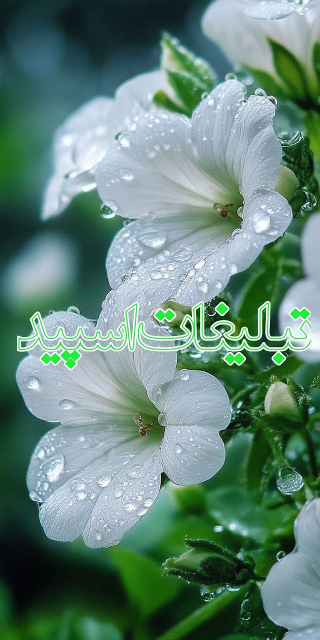 🦅❤️(دل های هماهنگ)❤️🦅 (6)