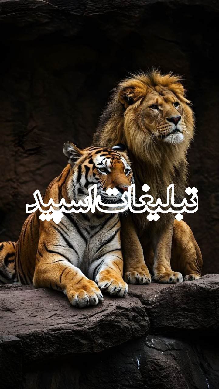 ◄°ll° Meeting Voice Chat °ll°► (20)