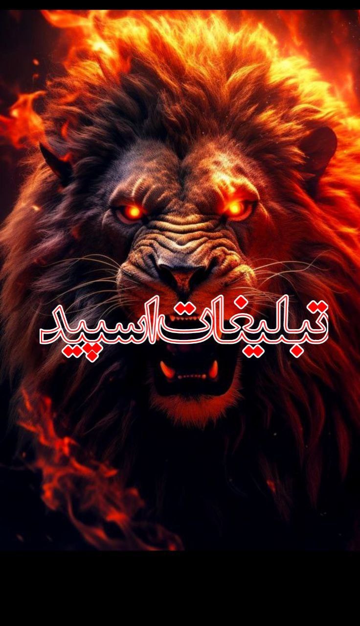 دوستان ماندگار ❤️ (7)