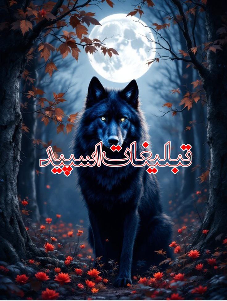 دورهمی✨🩷 (1)