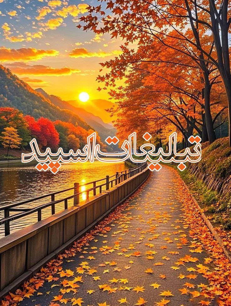 ❤️دورهمی دوستانه❤️ (5)