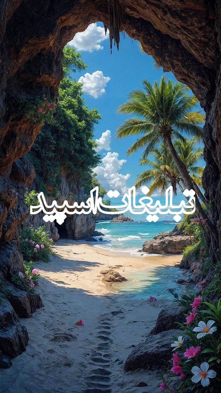 𝒦𝒶𝒻𝑒 24 (3)