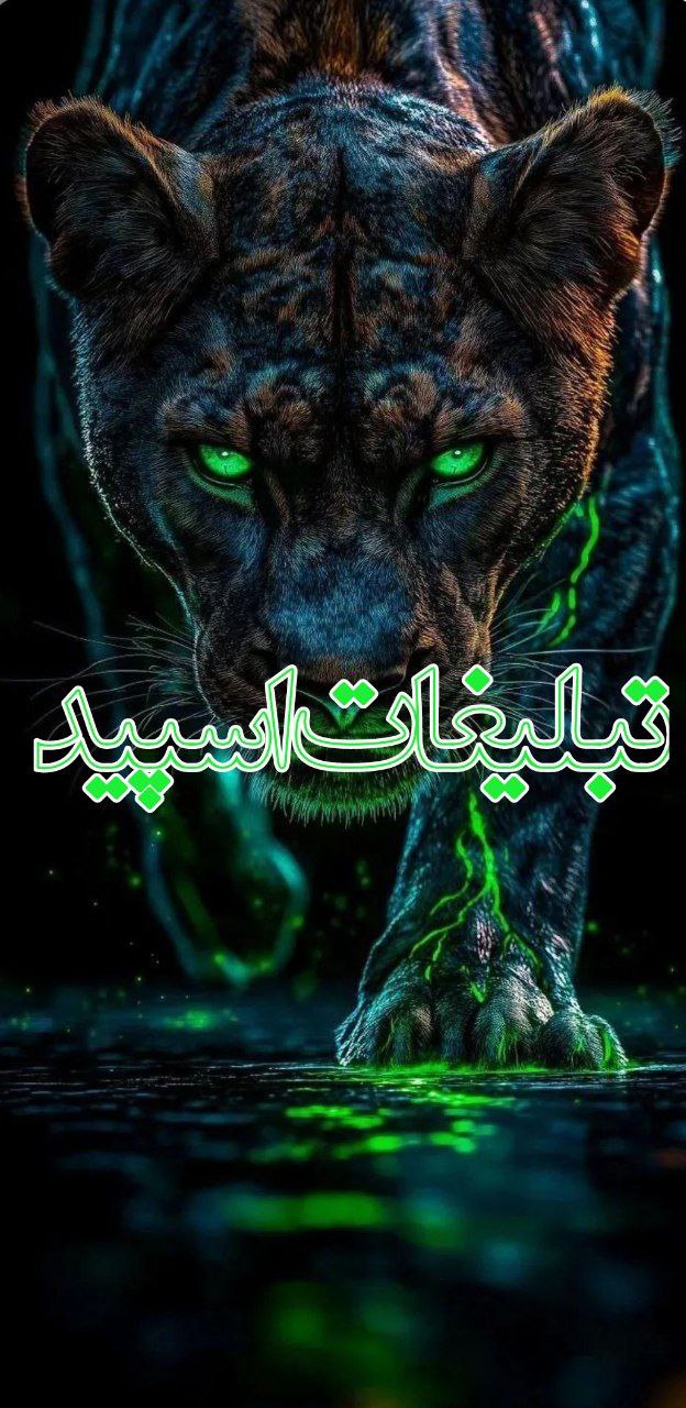وایلد ولف (376)