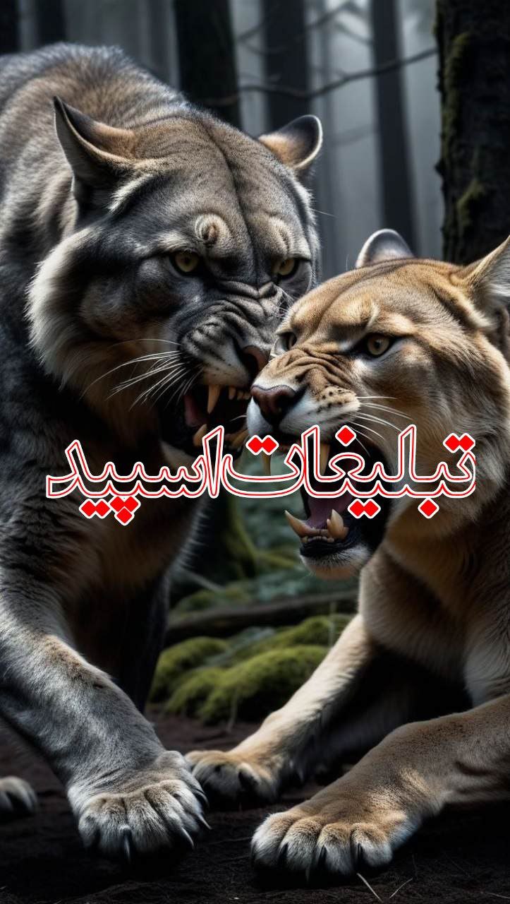 دورهمی دوستانه (17)