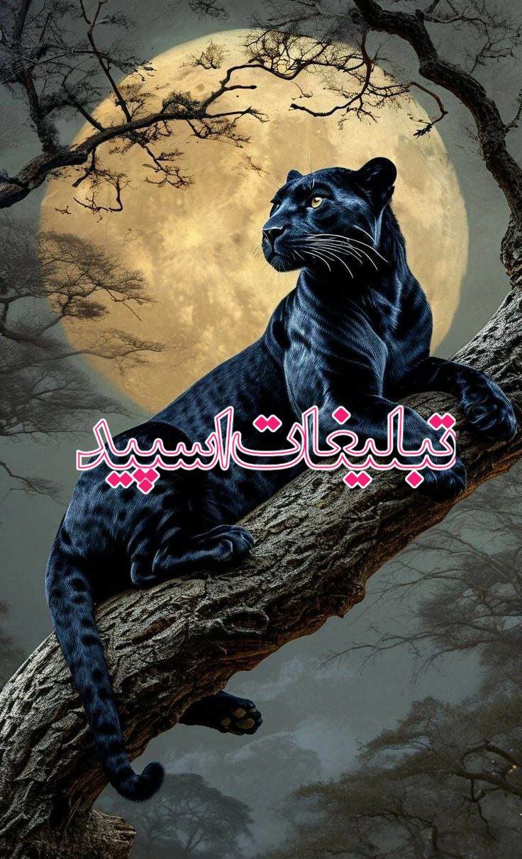 ༺ 𝑫𝒐𝒓𝒉𝒂𝒎𝒊 ༻ ◈ مـشـهـد ◈ شـمـال ◈ اصـفـهـان ◈ شـیـراز (2)