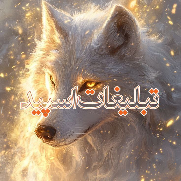 🦋 قلمرو دوستان کمیاب 🦋
