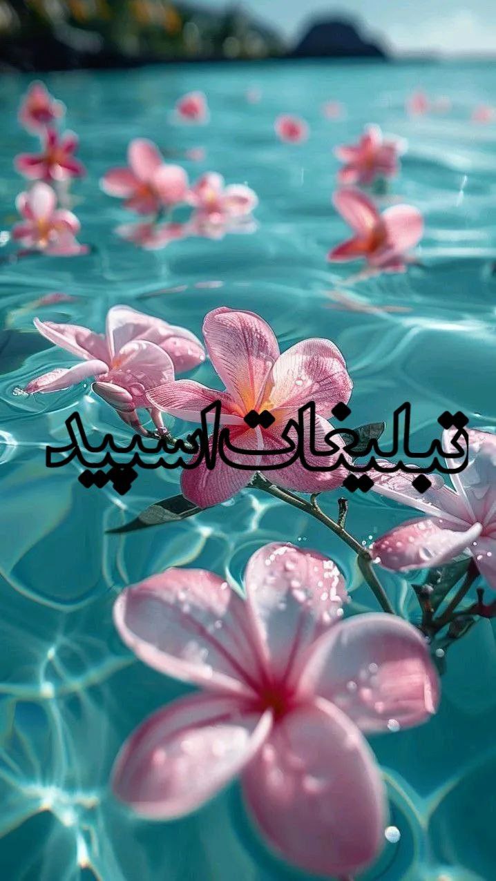 💖ܥ‌‌ࡐ‌ܢܚࡅ߳ߊ‌ࡍ߭ ܩߊ‌ࡅ߭ܥ‌‌ܭَߊ‌ܝ‌💖ܥ‌‌ܣܘ 60 70🌺 (4)