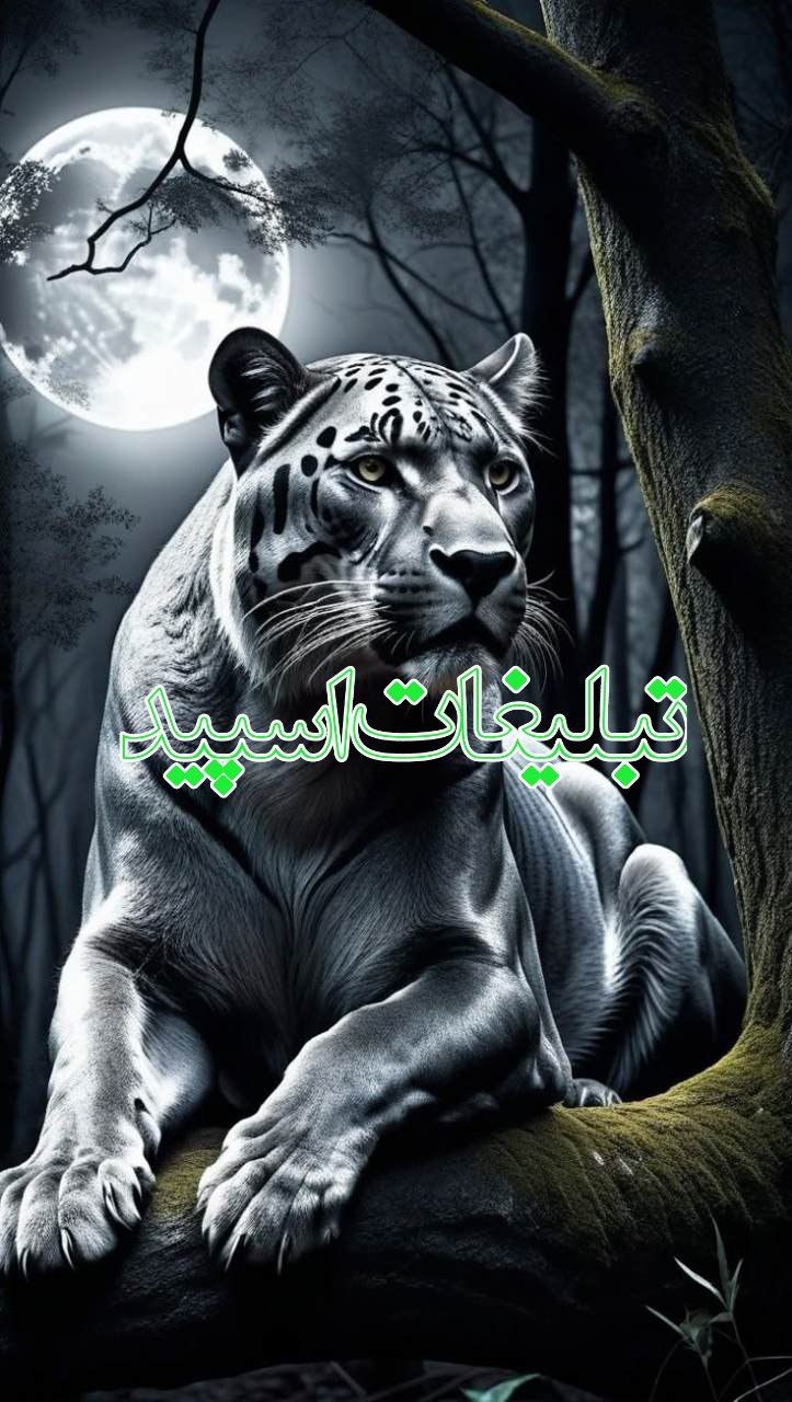 ❤️خودمونی❤️ (1)