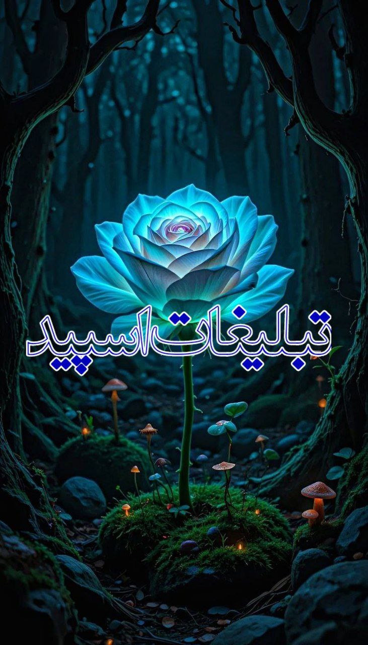 ❤️لاکچریا شیراز❤️