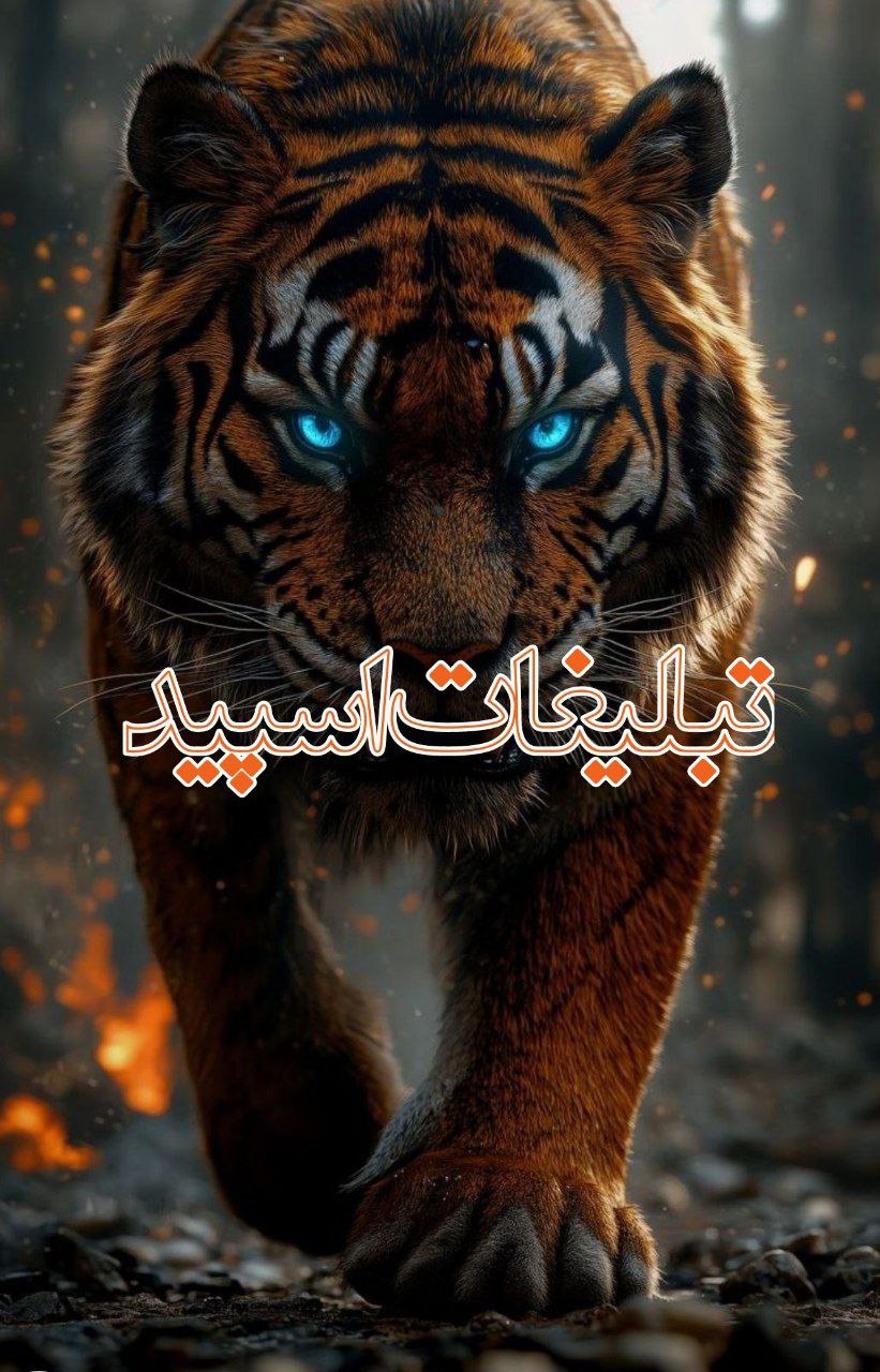 گلستان زیبا