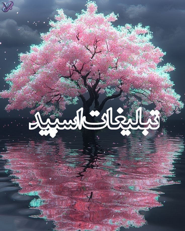 وایلد ولف (364)