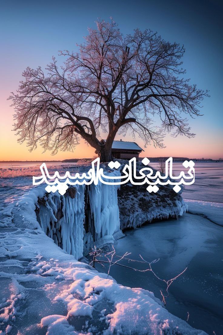 🌃 پاتوق آخر شب | 𝐍𝐈𝐆𝐇𝐓 𝐇𝐔𝐁