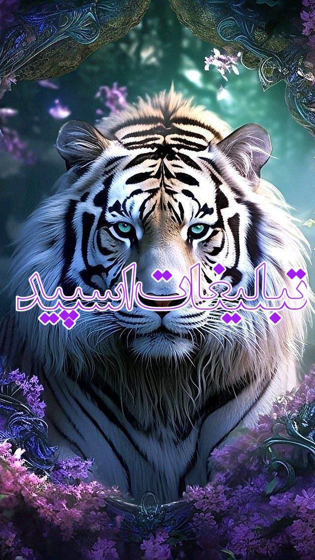 ❤️لاکچریای شیرازی❤️ (1)