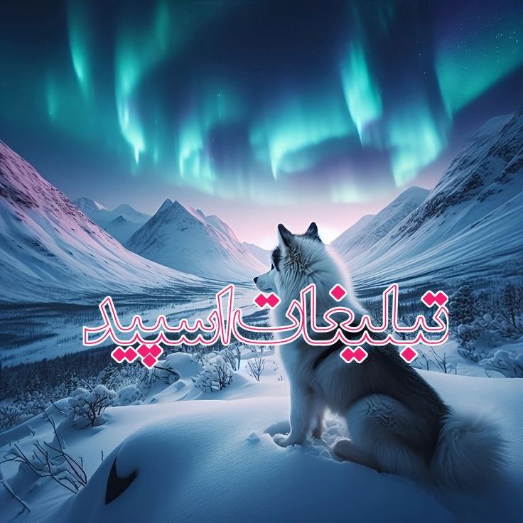 دورهمی دوستان ❤️ (11)