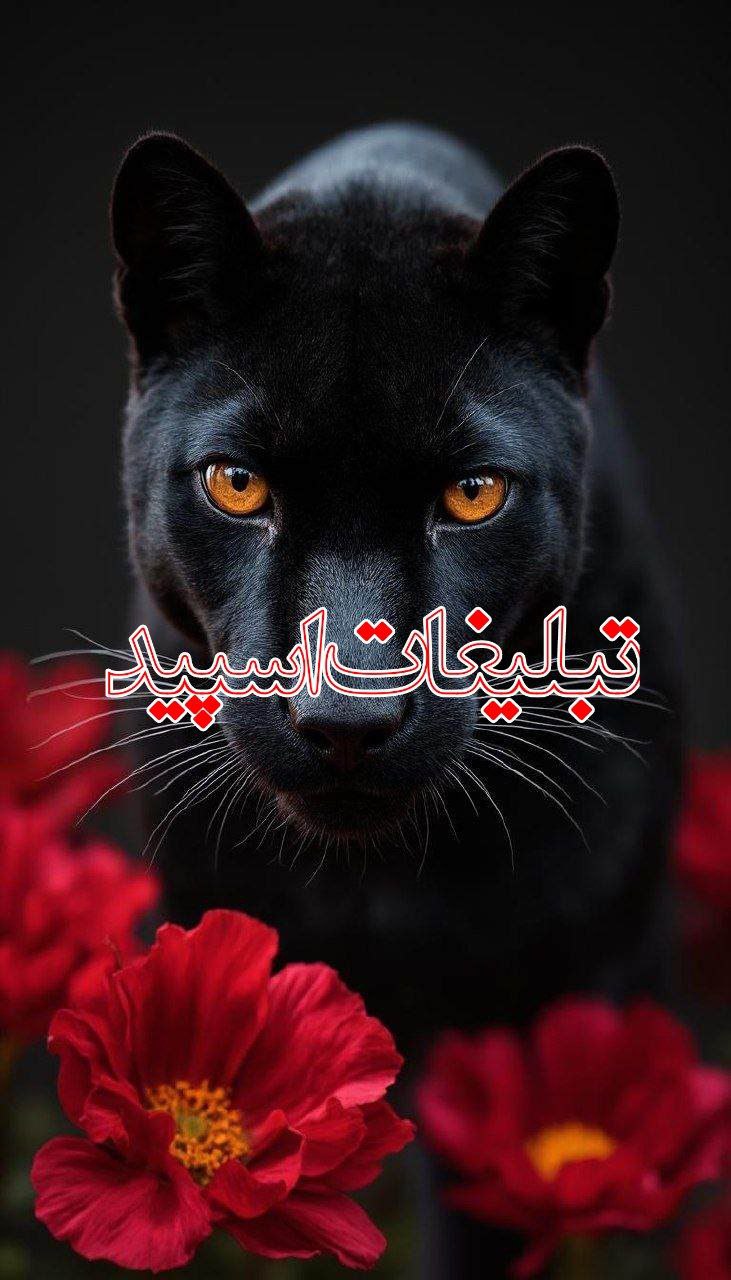 👑𓄂ꪰ𓁩ܩࡅ࡙ࡅ߳ࡅ࡙ࡅ߭ܭَ ࡐ‌حࡅ࡙ܥ‌‌𓁩𓆃👑 (12)