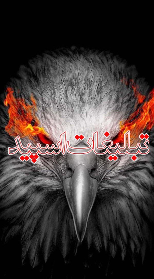 ➺♲«»┌‌‌‌‌‌‌‌‌‌🌵 ➼ ĖṀṖİṘĖ ȮḞ İṘȦṄ ➼ 🚸⃟꙰↱‌‌♥️꙰ (2)