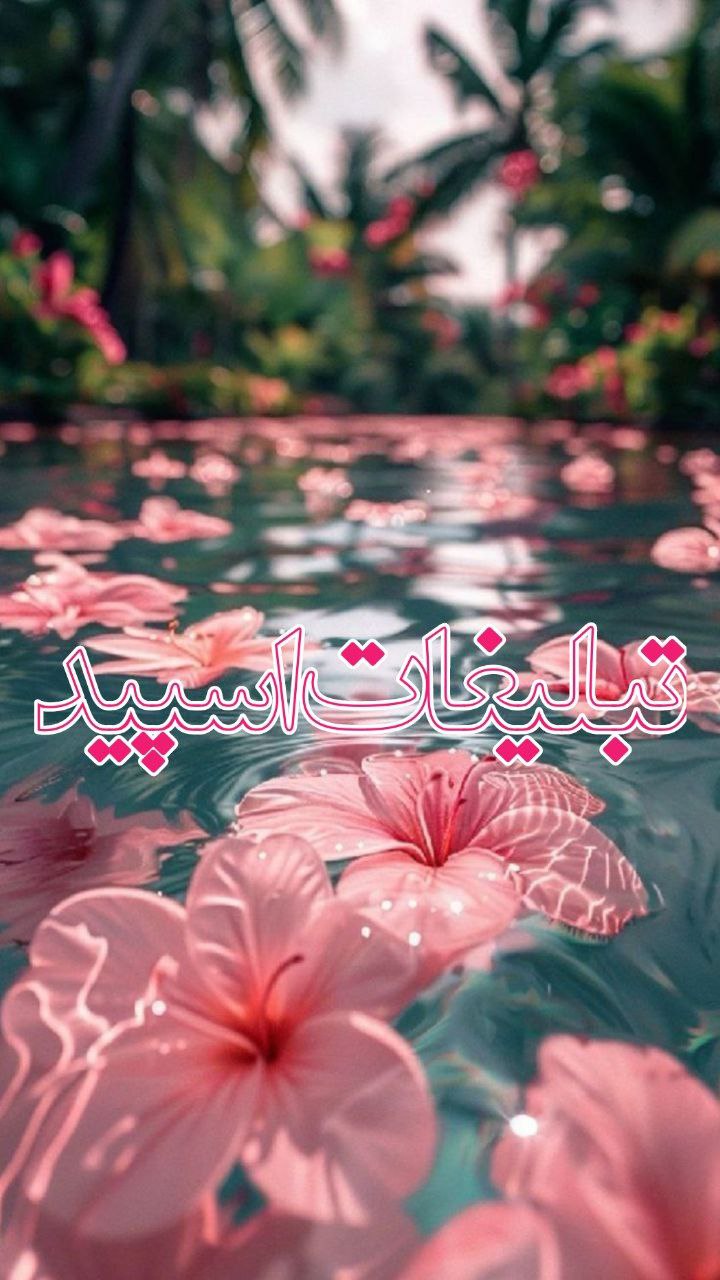 ♦️ Persian gap ♦️ (2)