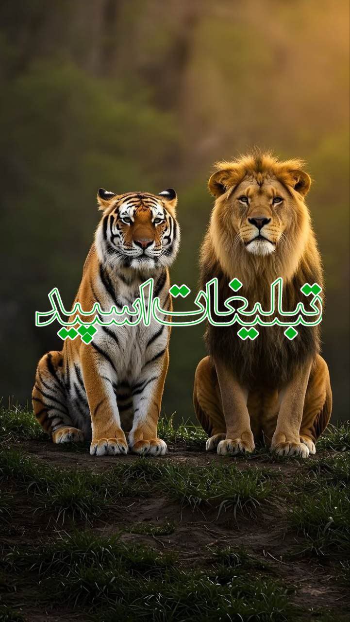 دهکده شمالی ها
