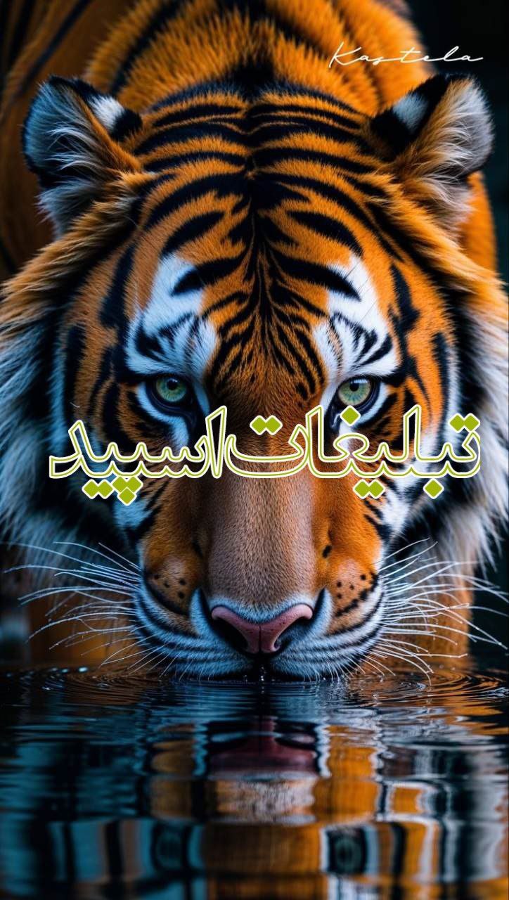 🧡👑 قــ♡لـــب هــاے ܩـہربــانـ 👑🧡
