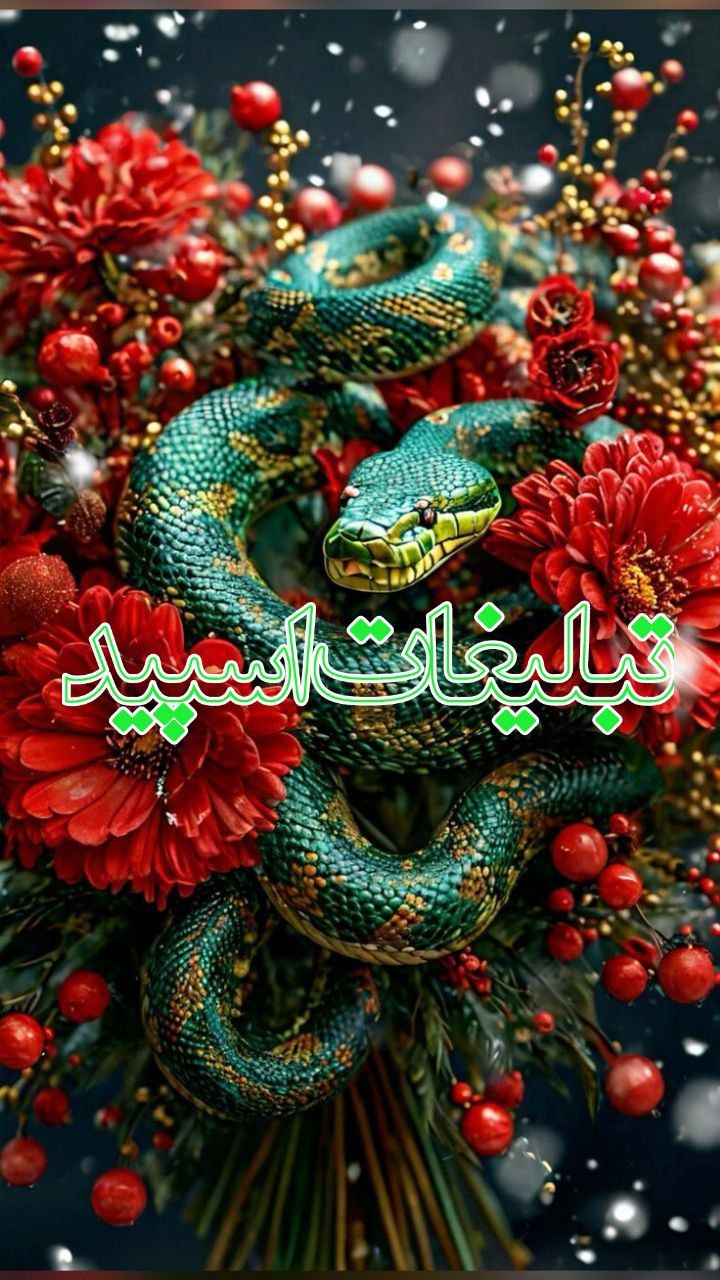 ♥⊱╮ღ꧁ کوی مهربانی تهران_کرج ꧂ღ╭⊱♥ (2)