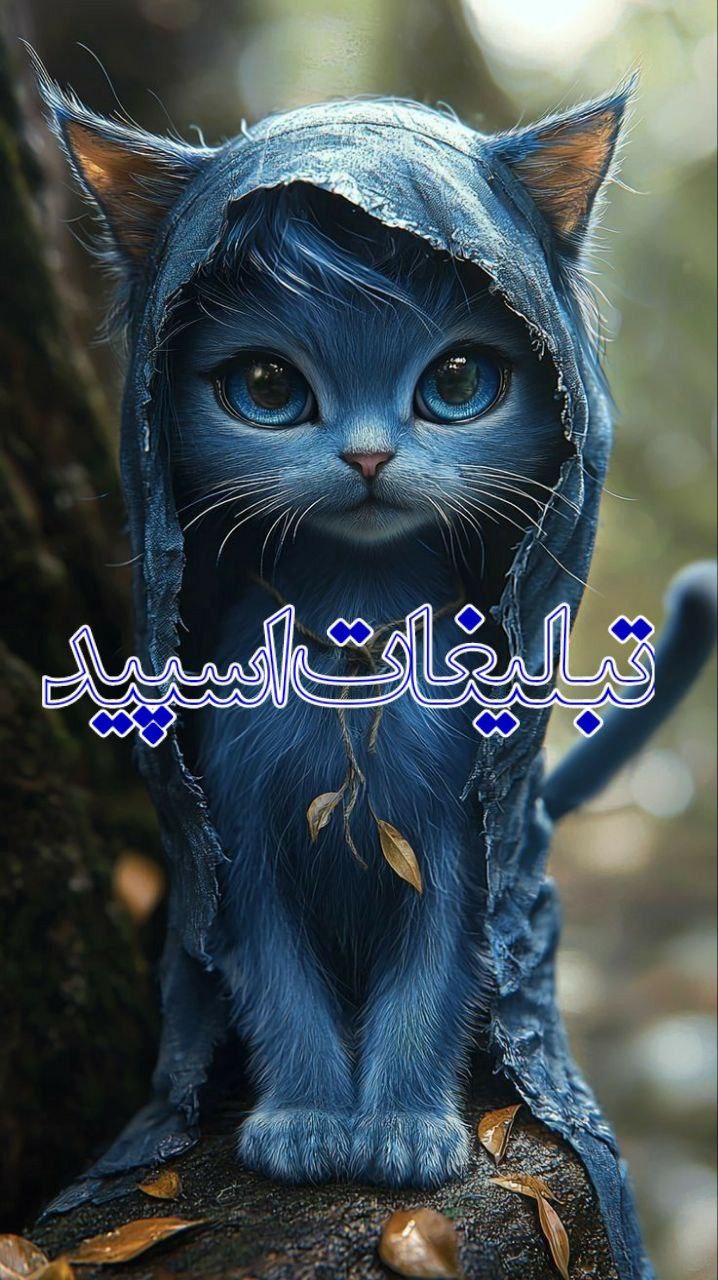 ❤️کلبه عشق ❤️ (6)