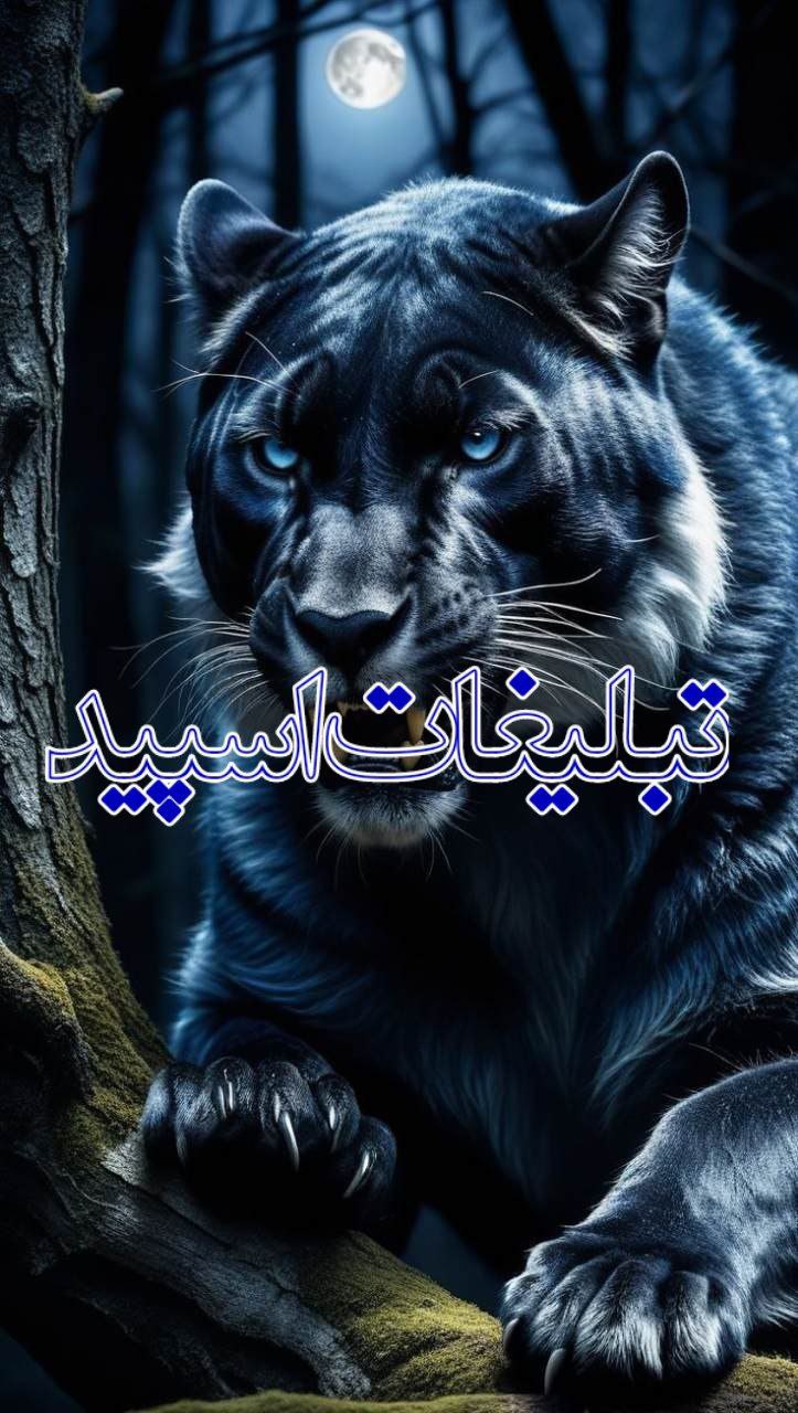دوستان لاکچری ❤️‍🔥