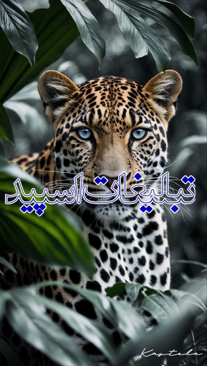 𓄂ꪴꪰ༅ᬼ⃝⃮♥️𝘼𝙙𝙧𝙚𝙣𝙖𝙡𝙞n𝄞𓆃‌‎‌‌‌‎‌‌‌‌