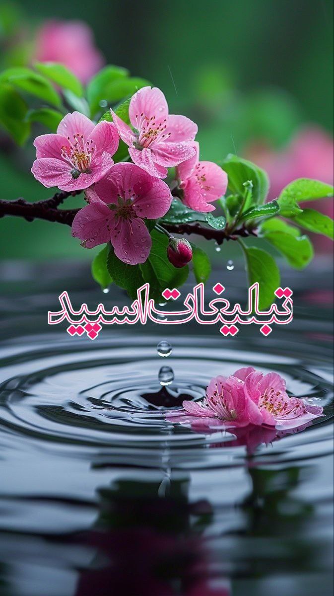 دورهمی هانی ودوستانش (1)