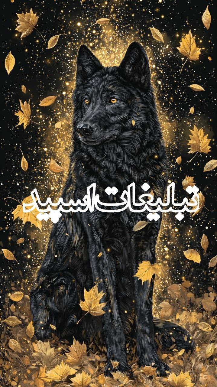 پاتوق همنشین (2)