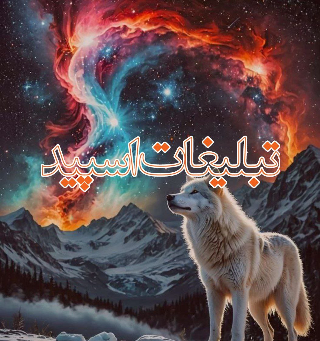 亗𝑻𝑯𝑬 𝑷𝒖𝒓𝒑𝒍𝒆💜𝑵𝒊𝒈𝒉𝒕𝒔ཧོ (2)