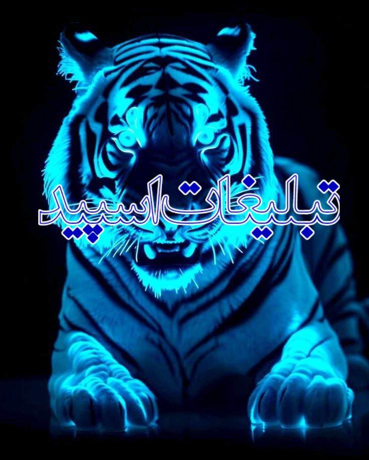 ❤️لاکچریا شیرازی❤️
