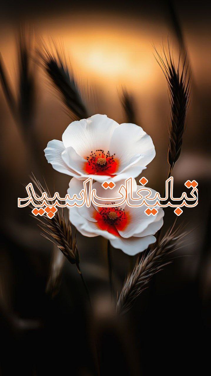 کافه رفقا❤️