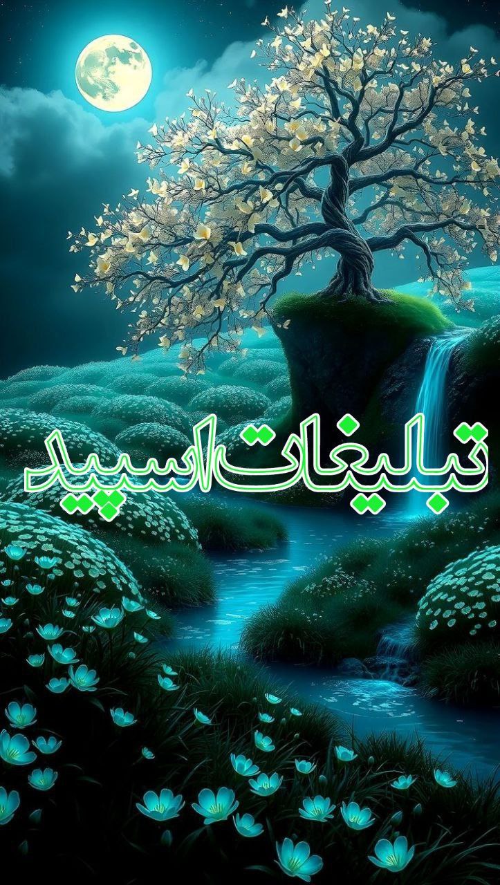 ساحل ارامش❤️