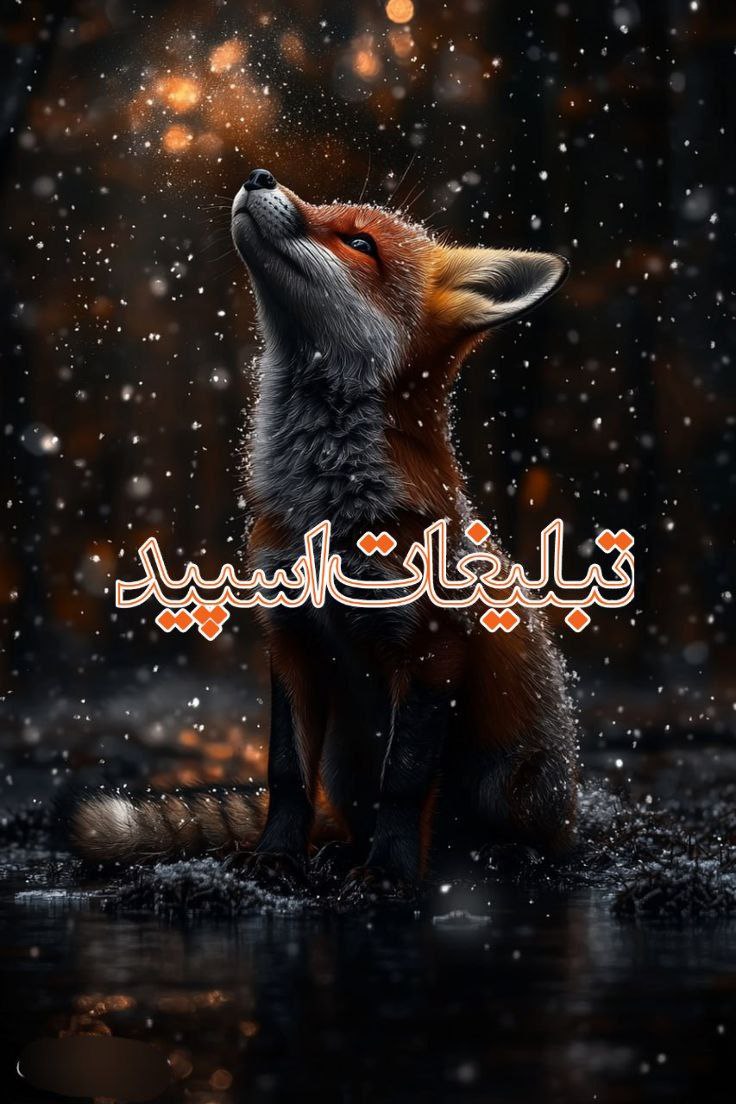 🦋گپ دورهمی دهه پنجاه شصت هفتادی🦋