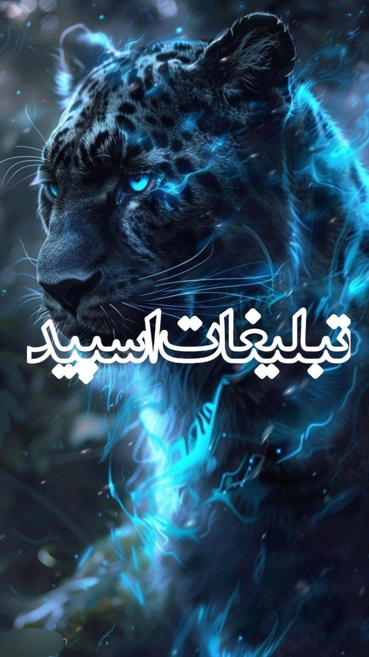 دوستان ناب (8)