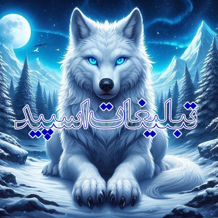 محفل بهار (4)