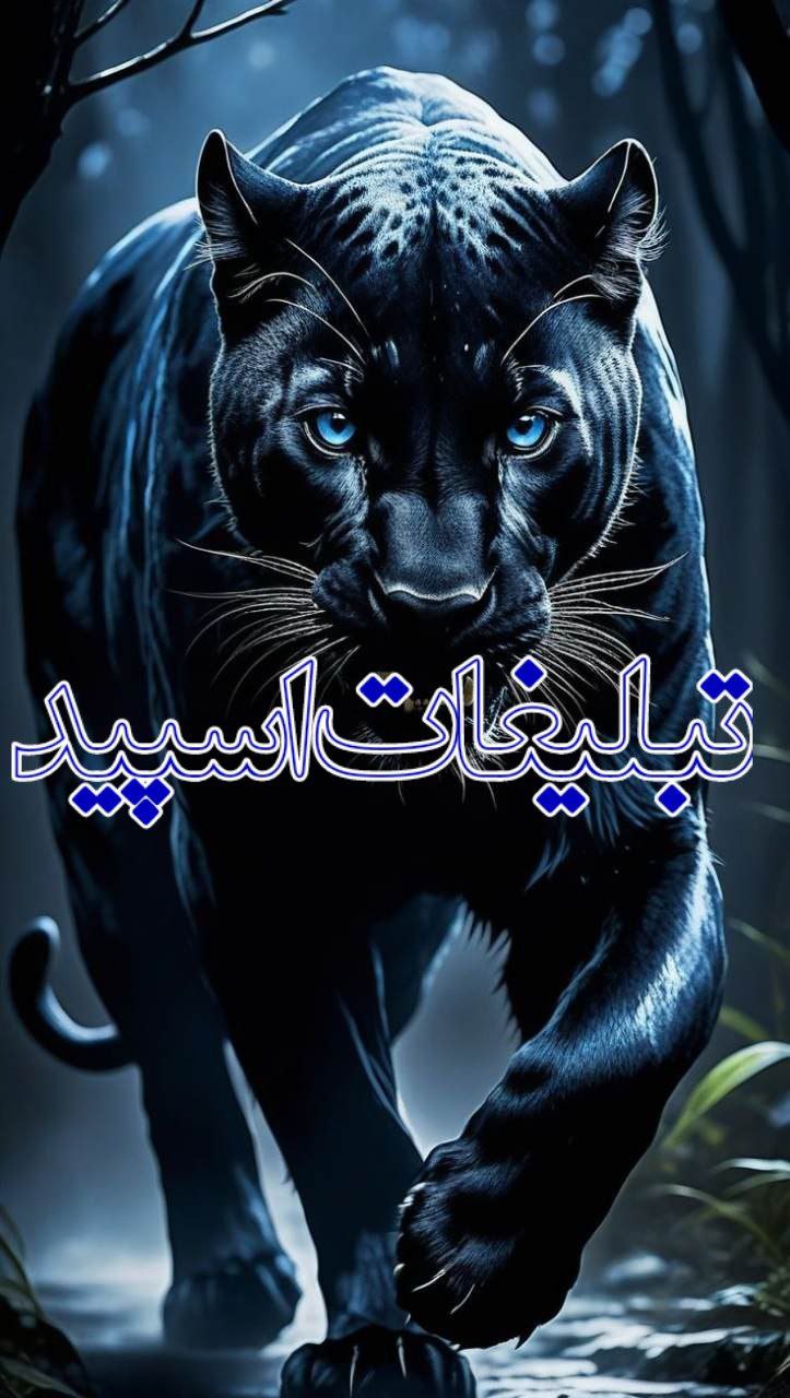 ❤️خودمونیا❤️