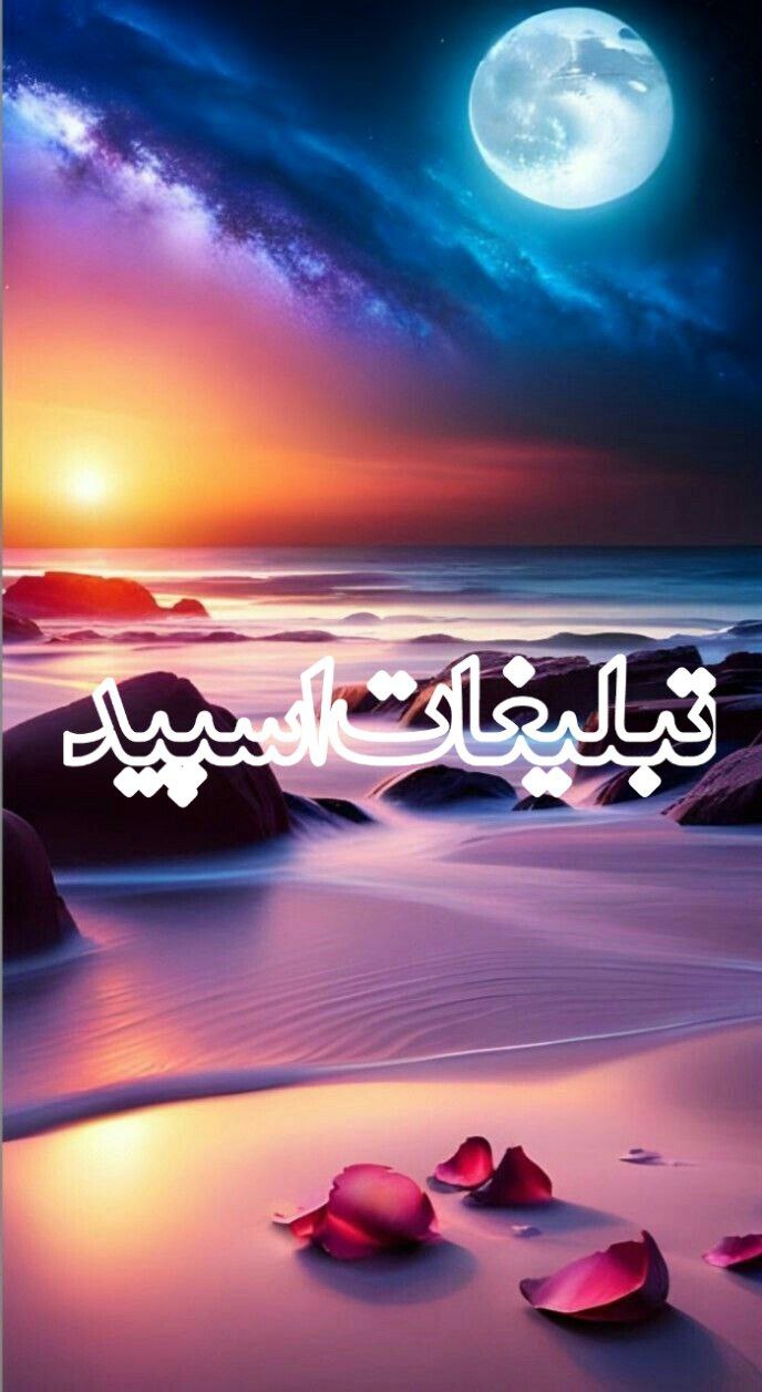 وایلد ولف (374)