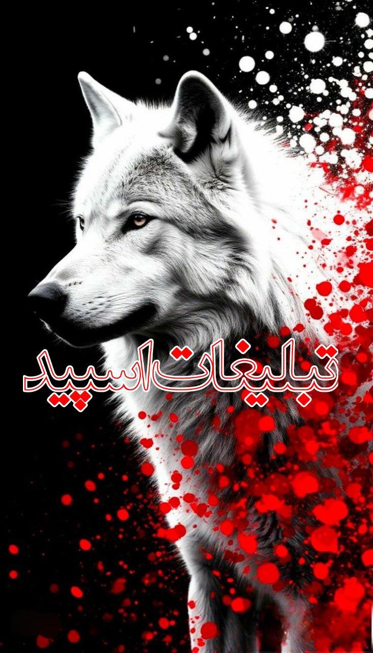 اٰمۘپۛٙرؓاٰطؕوࣳرؓ لۙاٰڪچرؓݺ࣮༑༑҉➲👑 (3)