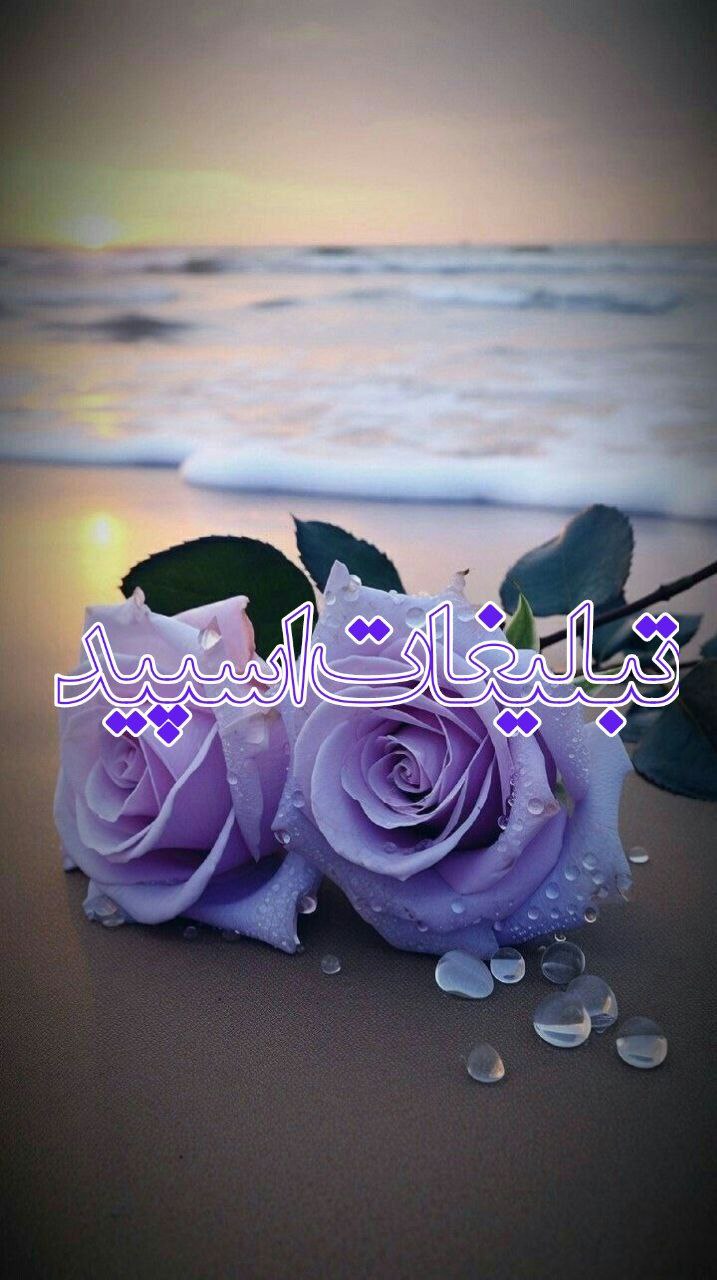 مـیــتــنــگ 𝘼𝙫𝙖𝙞𝙡𝙖𝙗𝙡𝙚