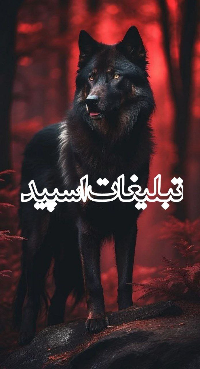 متاهل مجردا دهه 50و6070