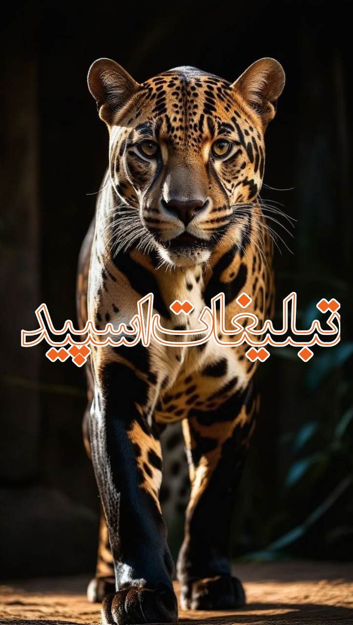 چرچیل (1)