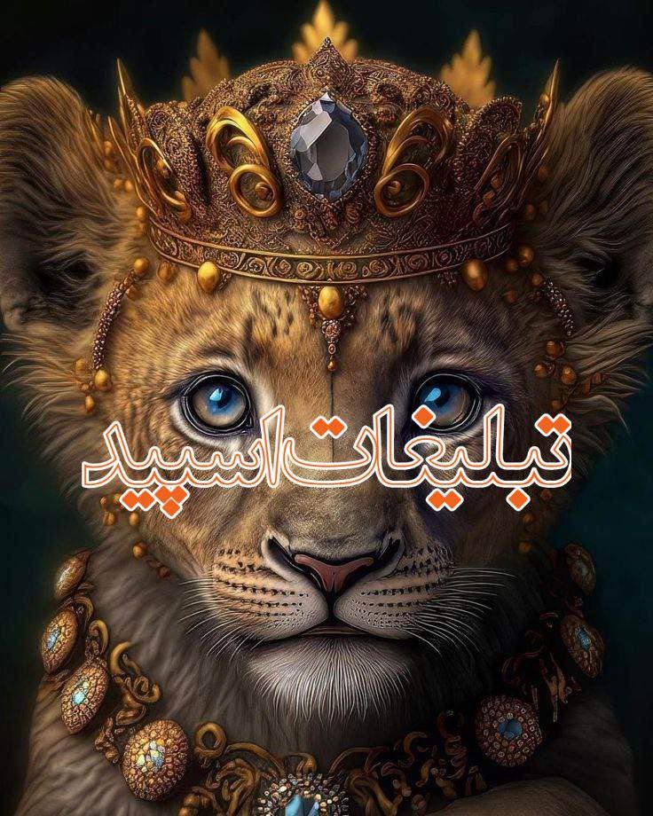 Persian gap (14)