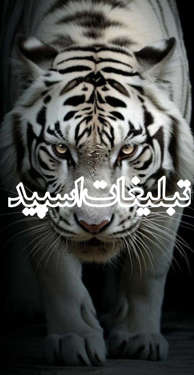 رفقای بامرام دهه 70,60,50❤️