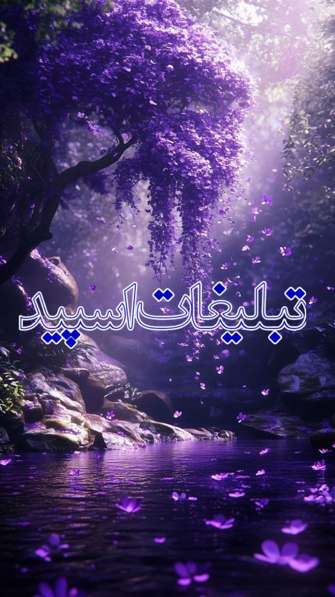 𝐿𝐴𝑆𝐻 𝐺𝐴𝑃 (4)