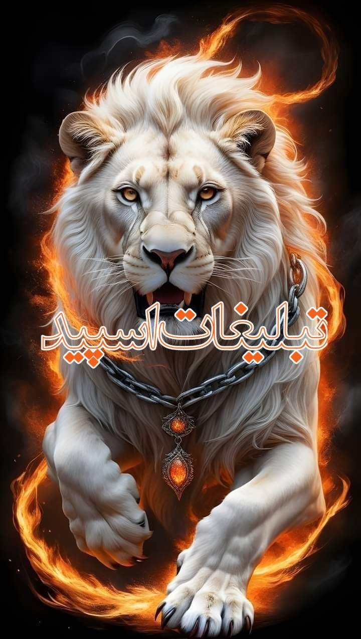 ❤️ دورهمی با جنبه ها❤️